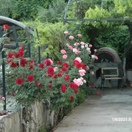 דירה Mare Mare Thalassa A