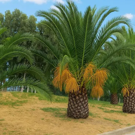 Apartamento Mare Mare Thalassa A Patras