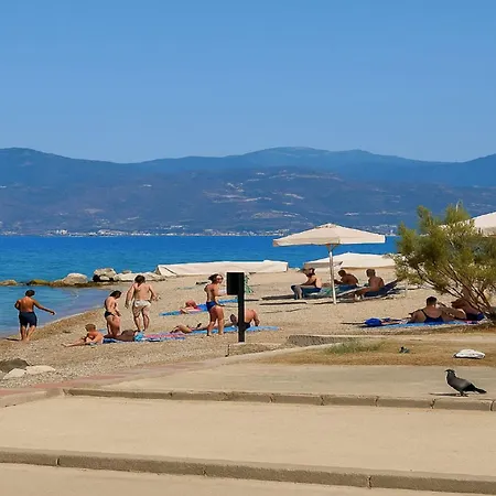 Mare Mare Thalassa A