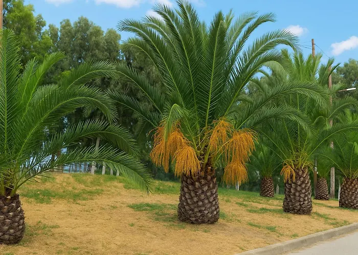 דירה Mare Mare Thalassa A פאטרה